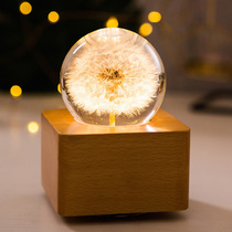 Dandelion specimen eternal flower bedroom sleep bedside lamp nightlight Bluetooth audio ornaments Christmas gift