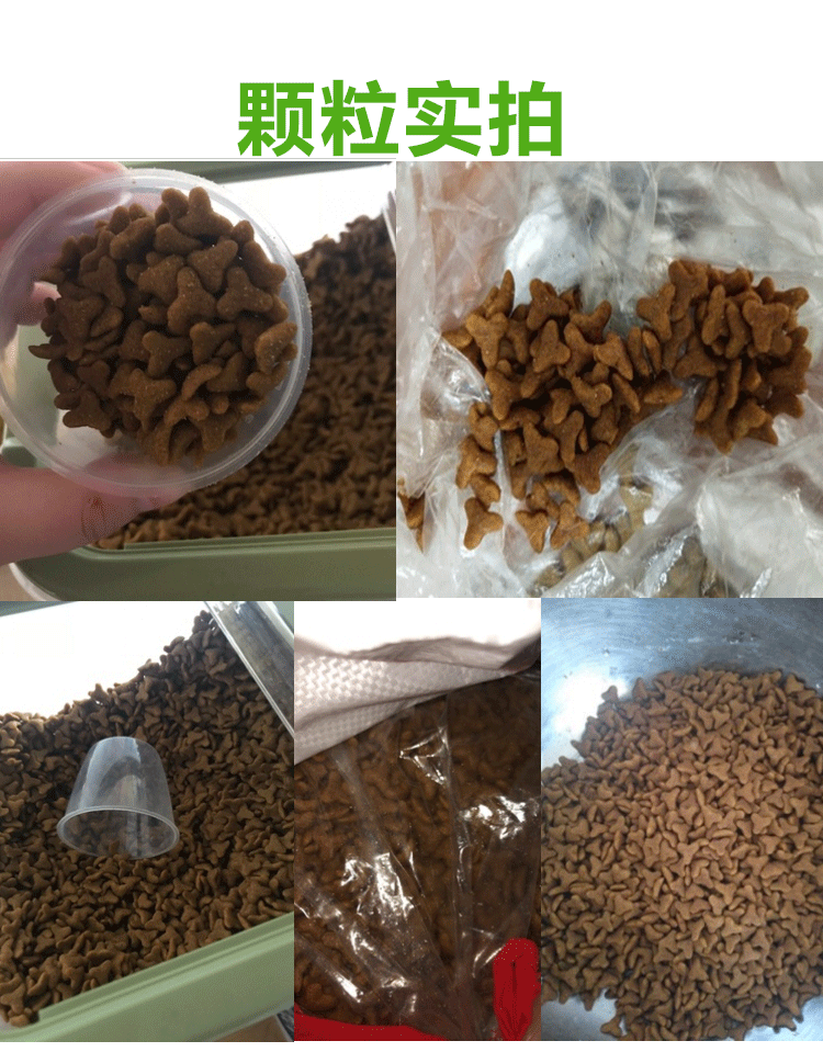 Chó mang thai số lượng lớn 1 kg đặc biệt thức ăn cho chó loại lông vàng thông thường hơn gấu thử nghiệm kinh nghiệm 500g - Gói Singular royal canin kitten