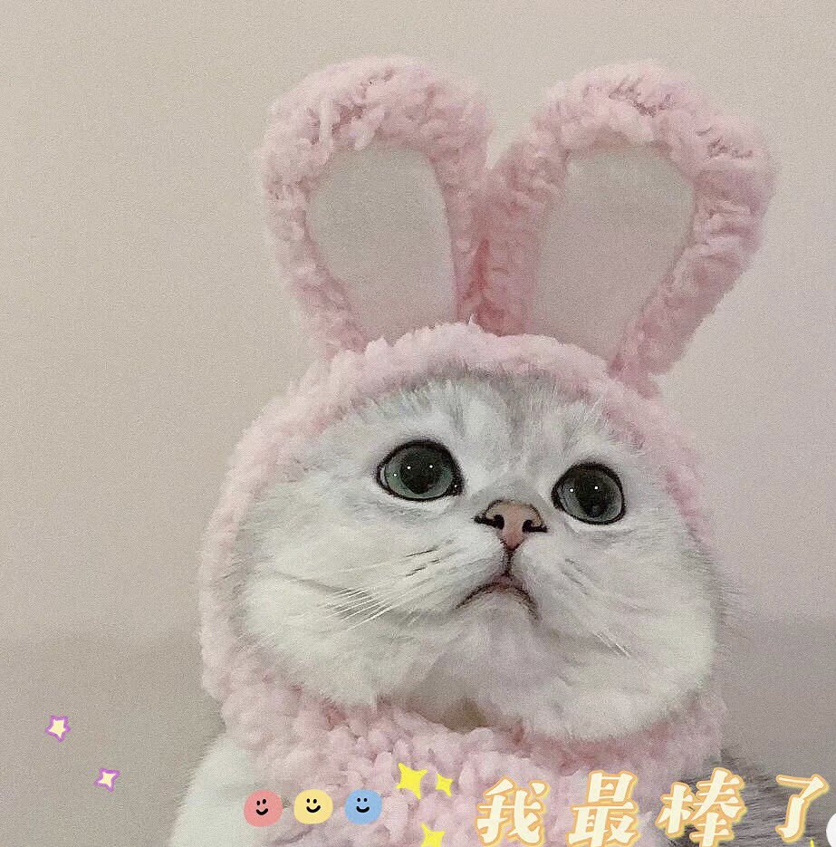 摇小姐yy 女鞋