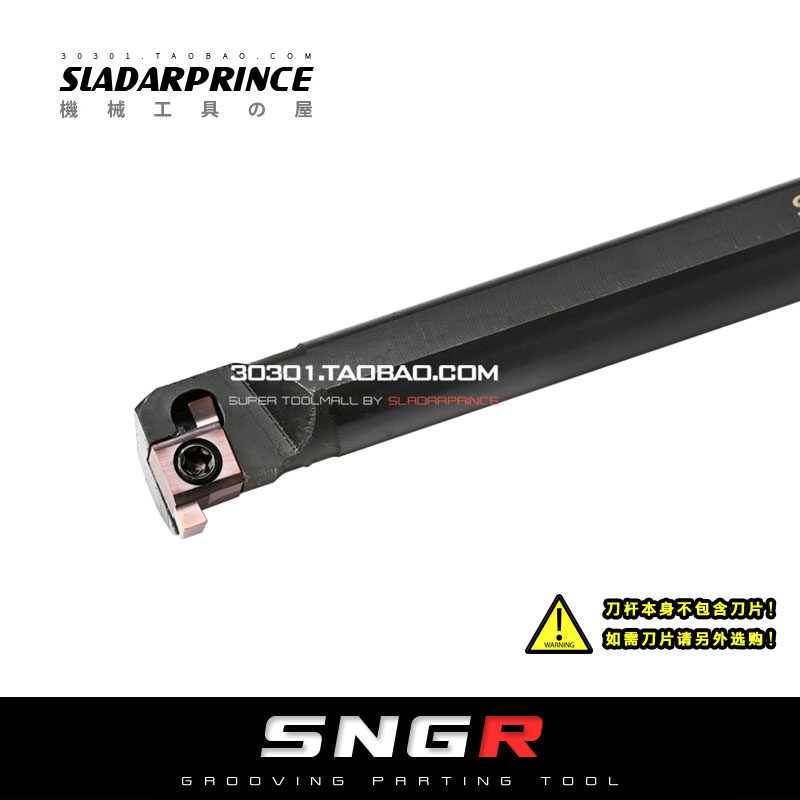 SNGR 08J07 10K08 12M08 16Q08 12M09 16Q09 20R09