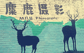 麋鹿摄影工作室
