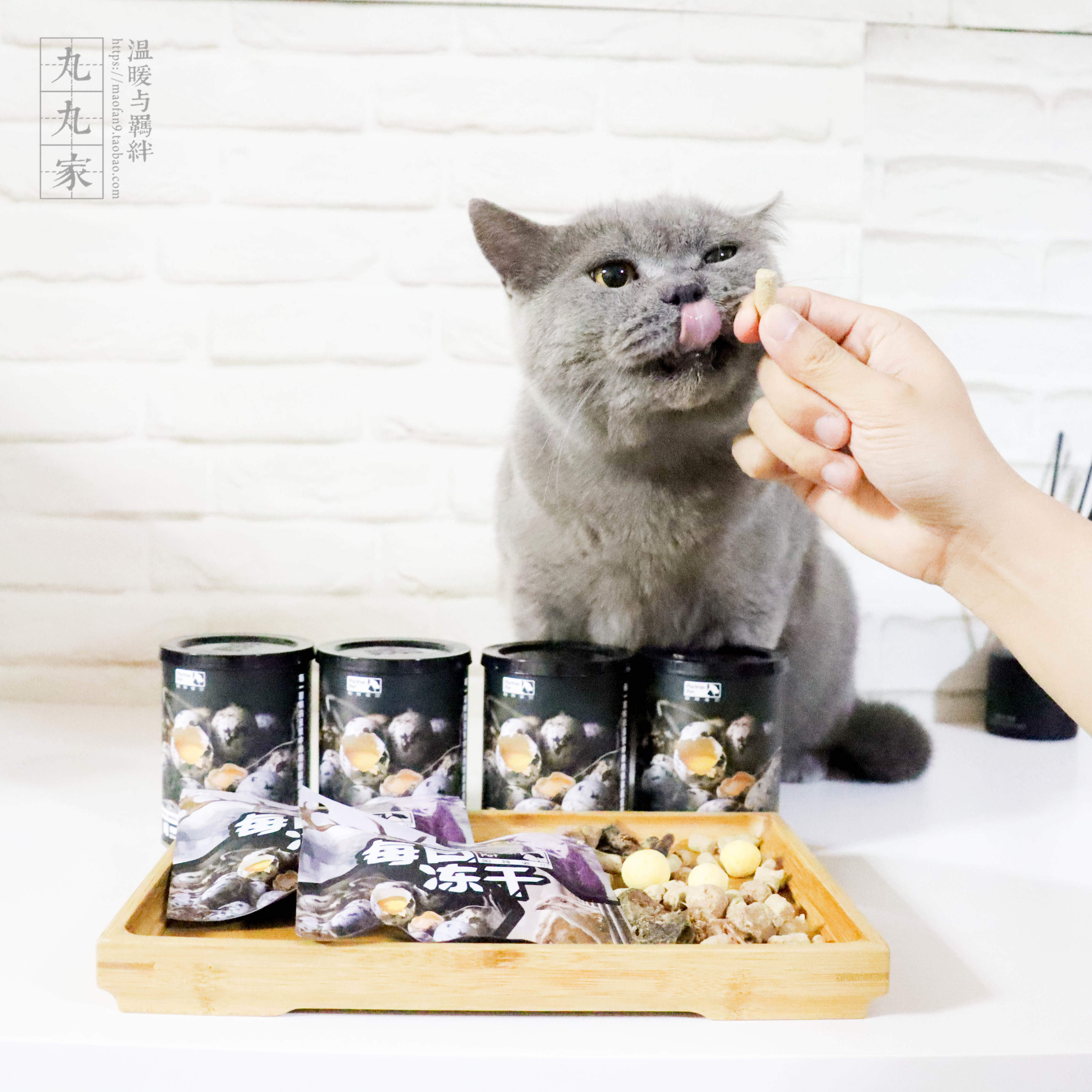 Marumaru Family Partenor Daily Freeze-Dried Quail Egg Yolk Into Kitten and Dog Snacks Freeze Dried Raw Bone Meat Tasting Pack