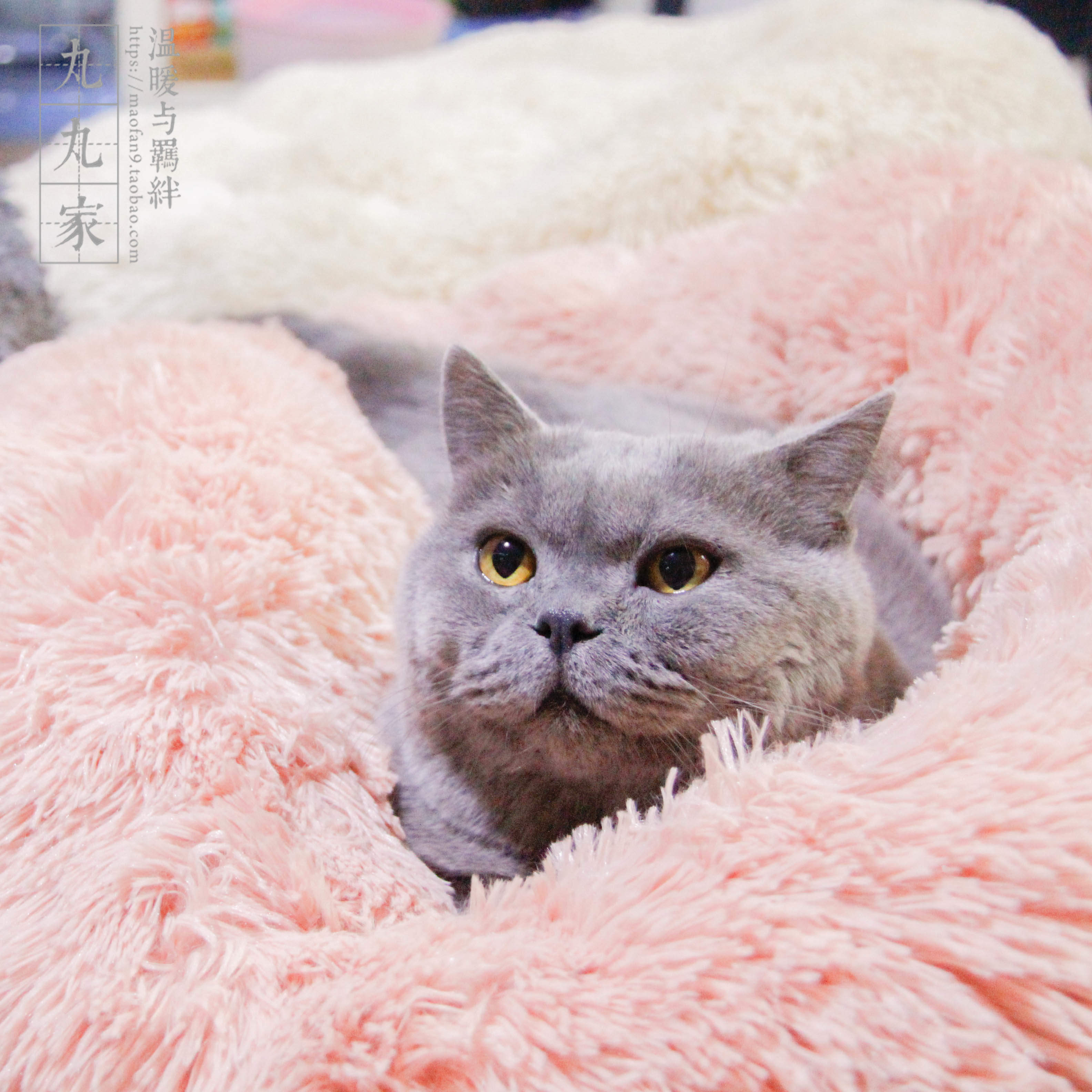 Maruwan home is very comfortable and velvet thickened deep sleep cat nest autumn and winter pet nest net red cat nest warm in winter