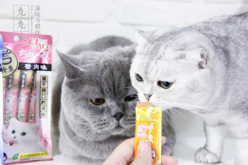 Maru Maru Home Inabao Chirping Miao Haocheng Kitten Milkshake Wet Food Bar Dinh dưỡng Bar Cat Snack 4 cái / gói - Đồ ăn nhẹ cho mèo