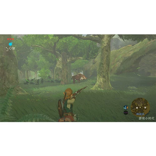 Nintendo Switch NS вторая игра Zelda Chinest Spot Zelda Chinest Spot
