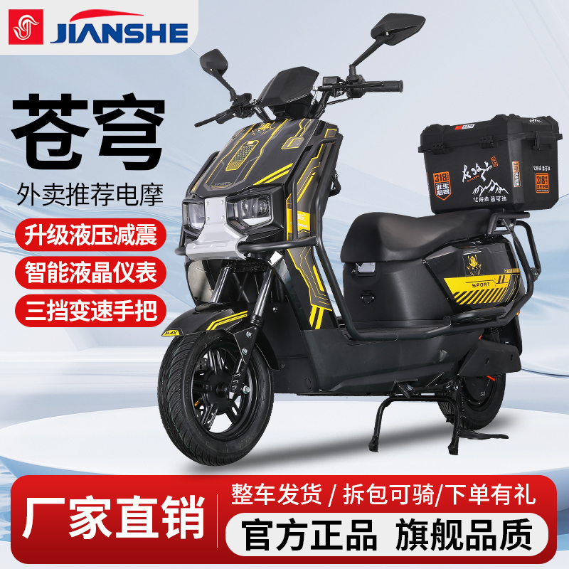 New Model of Takeaway Delivery High-Speed Long-Distance Electric Scooter 72V96V High-Power Electric Bike for Adults