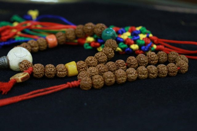 Five petals plum burst meat Xiaogang Bodhi seed diameter 1 3-1 4cm pile height approx. 1 2cm