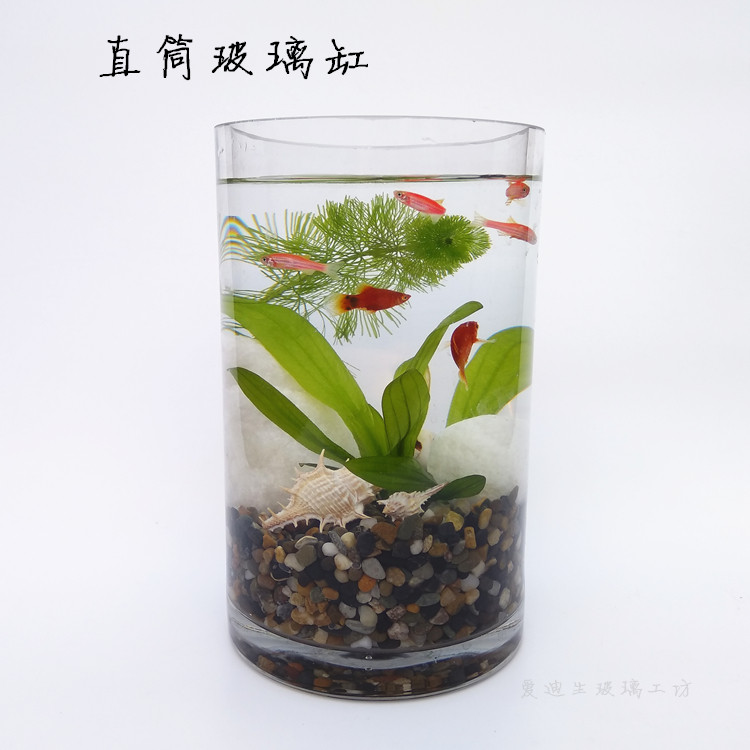 Size glass fish tank cylinder fish tank cylindrical barrel-shaped fish tank simple flower arrangement lucky bamboo vase