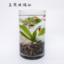 Size glass fish tank cylindrical cylindrical cylindrical fish tank simple flower flower rich bamboo vase