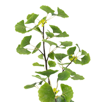 New simulation plant fake ginkgo leaf ginkgo rattan green plant indoor engineering floral shape decoration factory direct sales