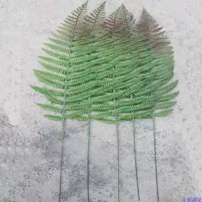 Simulation fern leaf fern DIY decorative floor-to-ceiling bonsai potted plant single cyantella leaf living room fake tree sales