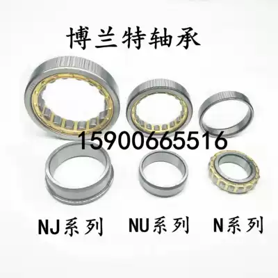 Short Cylindrical roller Bearings N NU NJ1011 1012 1013 1014 1015 1016 1017EM