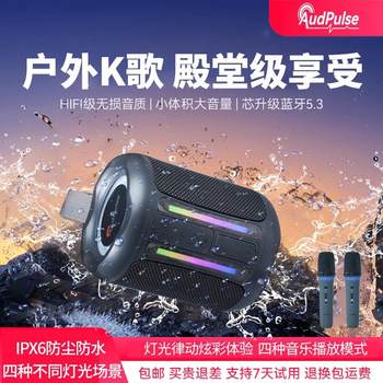Audpulse Bluetooth Karaoke Audio 40W Subwoofer Outdoor Square Dance Portable High Volume Waterproof Speaker