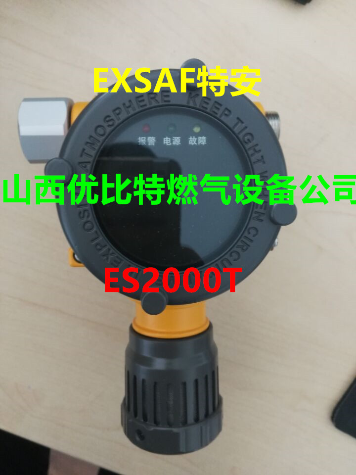 ES2000T Special safety detector EXSAF point type combustible gas ES2000T probe DT methane alarm CH4