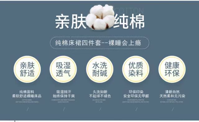 mùa xuân và mùa hè Nam Cực bông in giường váy một mảnh khăn trải giường bông khăn trải giường Simmons nệm bụi che bảo vệ - Váy Petti ga giường viền họa tiết
