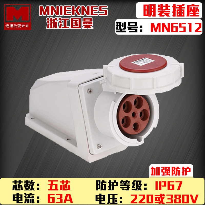 MN6512 Zhejiang Guang MNIEKNES Three-phase Five Core 63A Industrial Waterproof Plastic Active Plug 3P E N