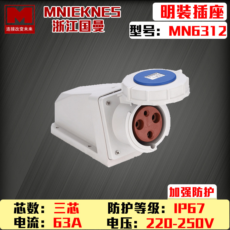 Zhejiang Guoan MN6312 Design MNIEKNES220V Three holes IP44 blue Ming dress waterproof industrial socket 2P E