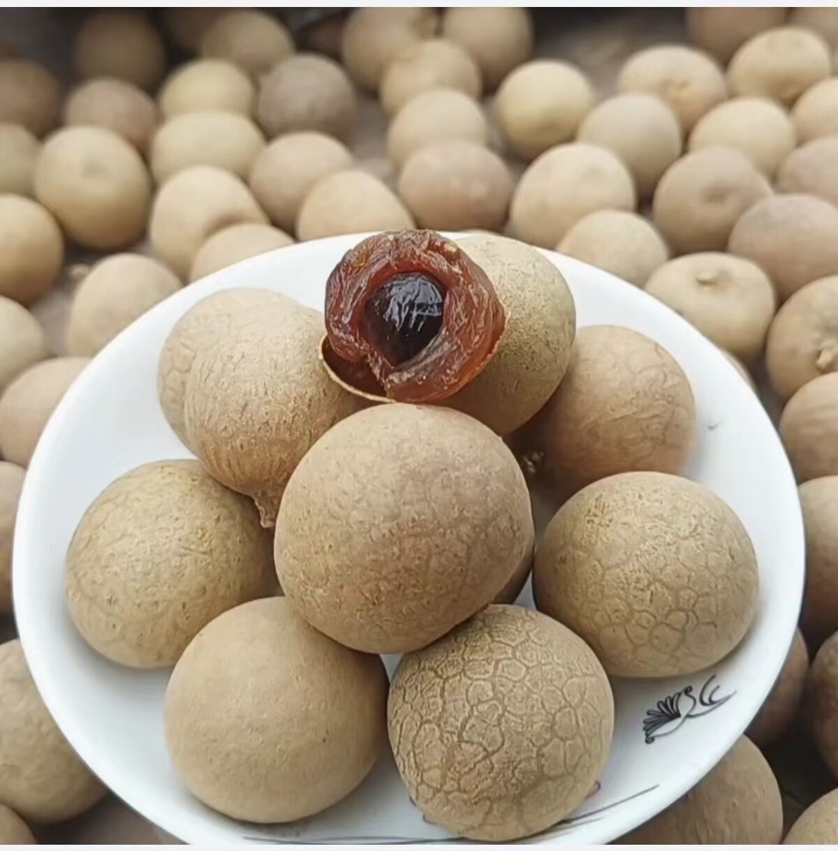 泸州晚熟桂圆之乡