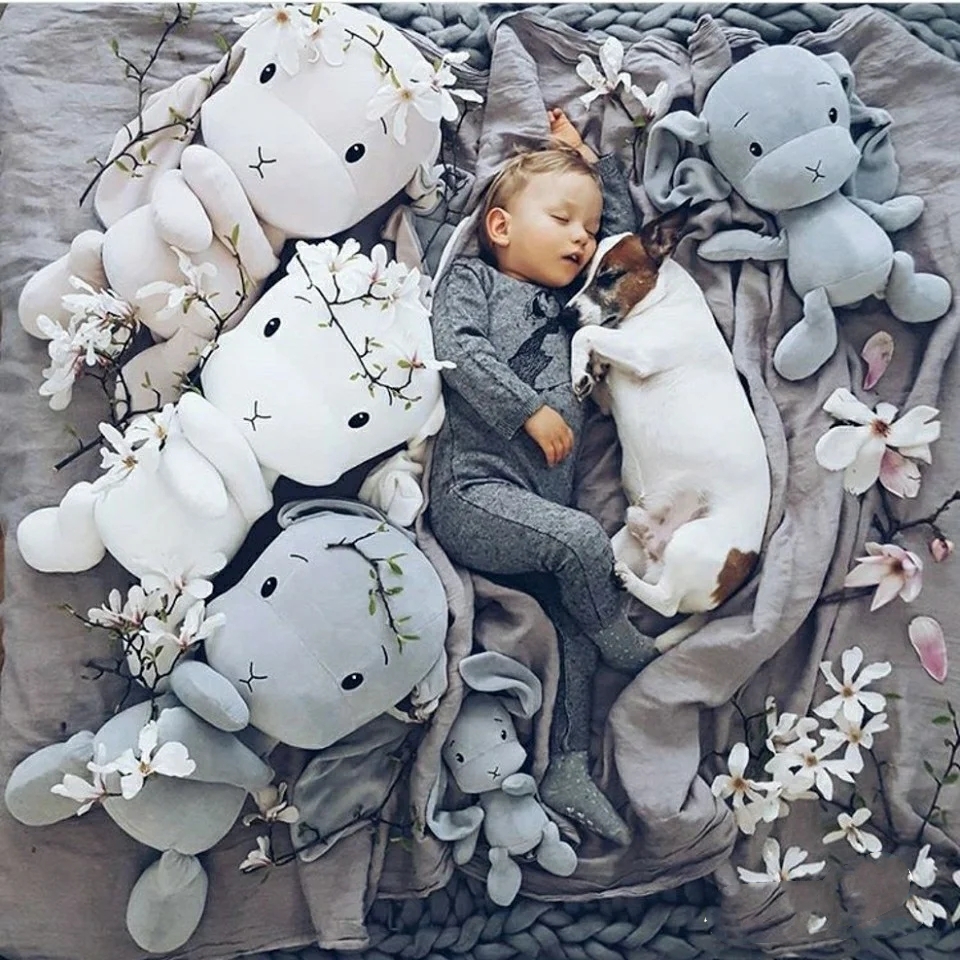 Nordic High-end Extravagant EFFIKI Effiel Big Rabbit Baby Appeasement to Sleep Doll Brick Cabinet for 600 