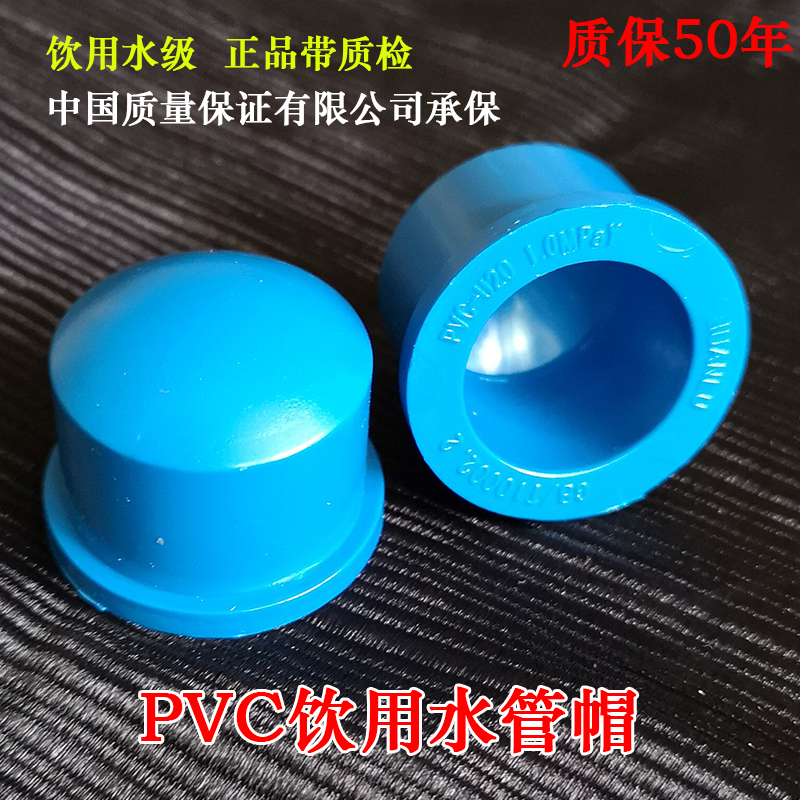 PVC water supply blocking plug blue pipe cap pipe blocking tap water blocking plug 20 25 32 40 50 63