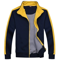 309 PLEL тибетского синего