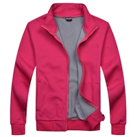 WY308 толстая роза красный