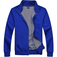 WY308 Толстый сокровище синий