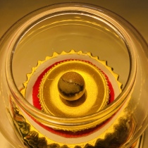  Lobgolle also known as Humgala son of Kaita Gold 680 yuan size 16 mm