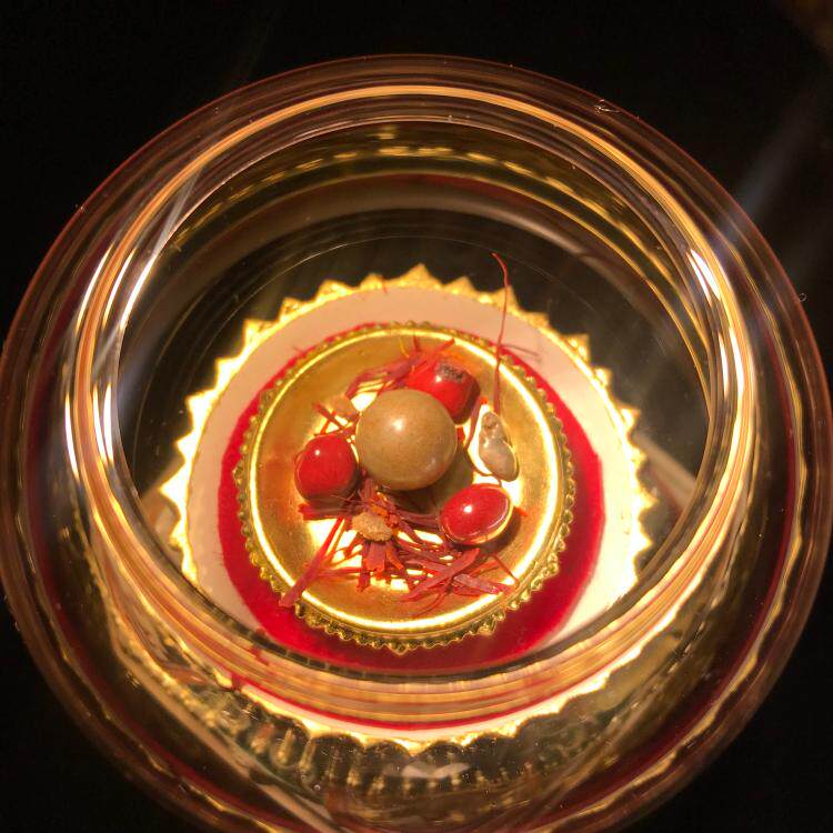 Gonga Mascot Sky and Robust Son 10 mm for the Shelita Gaga Box