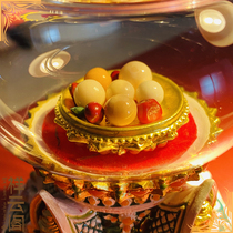  Kneeling at Mandir Temple India asking for Shakyamuni Buddha to hold Tibetan Buddha relic pagoda Gawu box