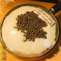  According to Xituo Jia Buddha mother fat Son opening tower knot offering stupa Gawu box a 10 yuan size 2 millimeter