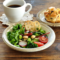 Japanese-made meiyaki coarse pottery powder lead plate dish breakfast plate salad bowl pasta Western plate ins tableware