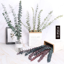  Dried flower bouquet Real flower immortal eucalyptus leaf net red ins Nordic style home decoration decoration shooting props