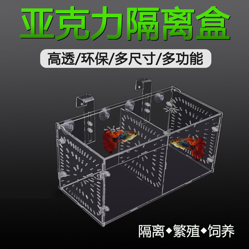 Peacock fish breeding box Hatching Case Acrylic Fish Tank Isolation Box Spawning fish eggs Breeding Box Small Fish Production House