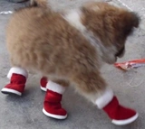 Pet Super Puppy Cat Рождественская красная обувь Осень и зимние согревающие анти -ски