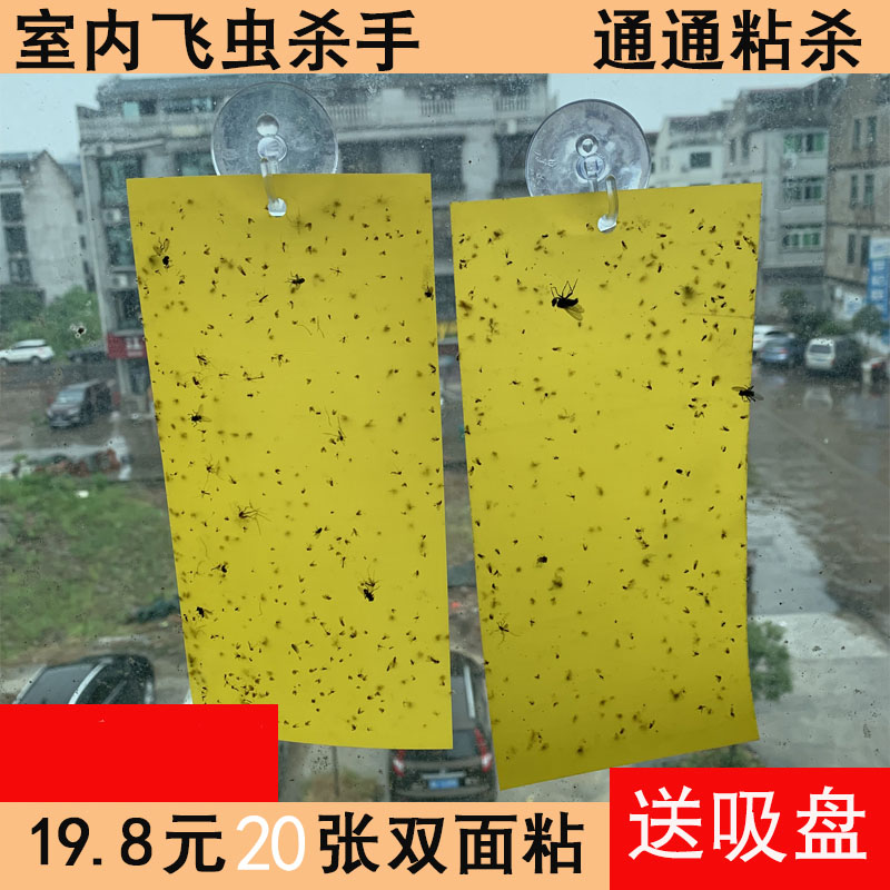 Home Double-sided Adhesive Insect plate Trapping Plate Stickers Kitchen Tea Garden Extinction Small Flying Insect Fruit Fly Trap plate Trapping Device