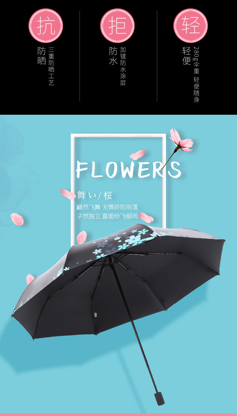 30641 Cherry Blossom Flight_02.jpg