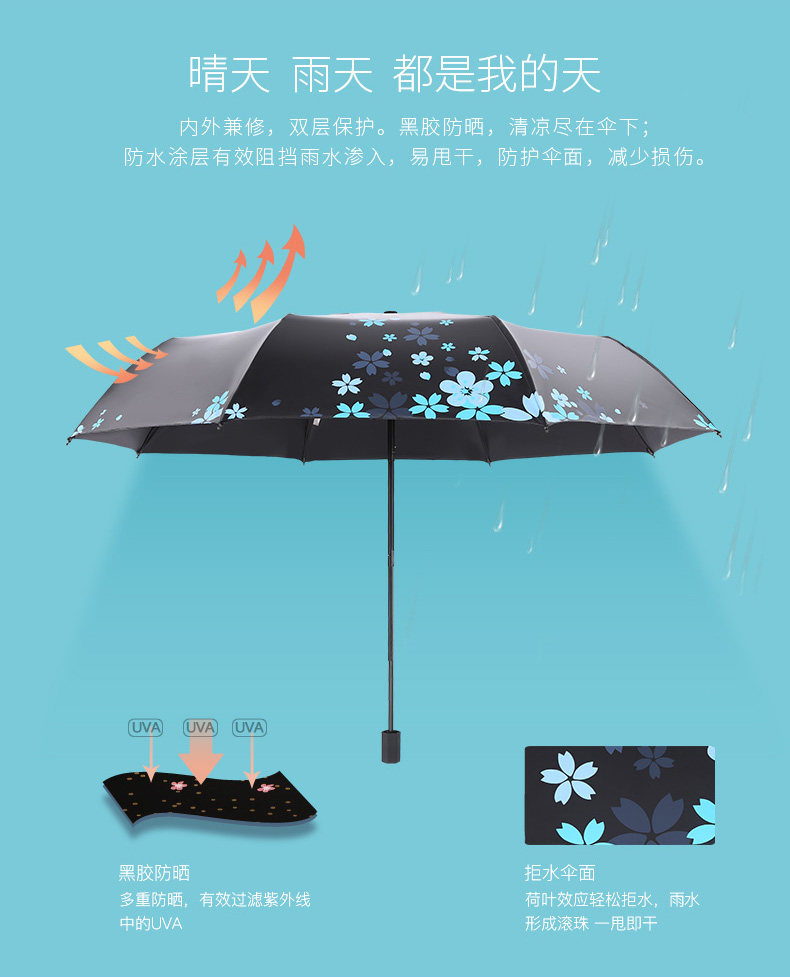 30641 Sakura Flight_05.jpg