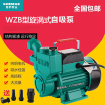 New Territories water pump WZB self-priming pump Cast iron household high-lift solar booster pump Well water pumping water tower Sheung Shui