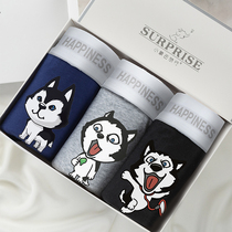 Mens underwear boys boxer head cotton four-corner pants cotton quality students young Two ha cartoon 3