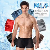 Mens underwear sexy transparent mesh u convex underwear breathable modal thin boxer pants boxer Hollow