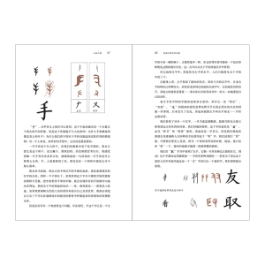 给孩子的汉字王国 瑞典汉学家林西莉倾力为3-18岁儿童打造的汉字王国 用丰富图片和故事带领孩子认识汉字理解中信出版社正版