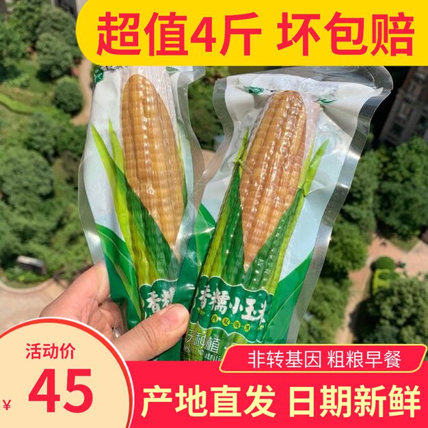 Happy Dai Nong Dai Sarkin Valley West Double Edition Nana Sweet Glutinous Rice Corn 4 Cati Non Genetically Modified Grocery Breakfast Ready-to-eat