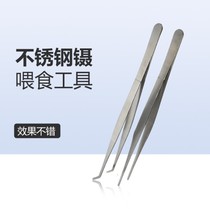 Turtle feeding stainless steel tweezers reptile pet aquarium pet horned frog snail chameleon gecko cricket fish tank curved tweezers