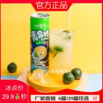 Taste Li Jiaqing golden orange juice plant fruity beverage 318mlx6 cans Hainan specialty hangover juice drink