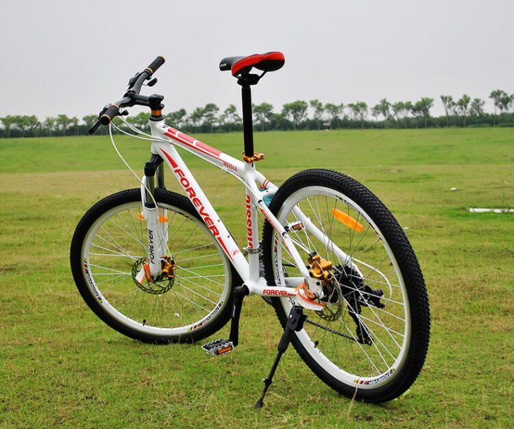 Déco pour vélo - Ref 2282223 Image 14