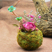 Christmas Moss flower arrangement flower arrangement personality Mini small flowerpot with plants to make Moss bonsai not waterproof