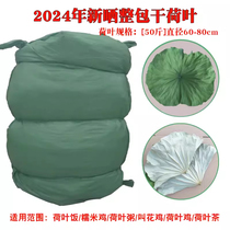 2024 fresh dried lotus leaf beggars chicken lotus leaf chicken special whole lotus leaf 50 catties whole lotus leaf lotus leaf tea