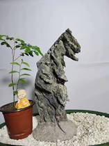 The stone attached stone is 31 cm high and 15 cm wide. It has been grooved.