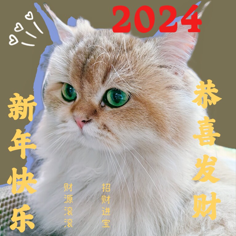 奇迹麦麦宠物用品